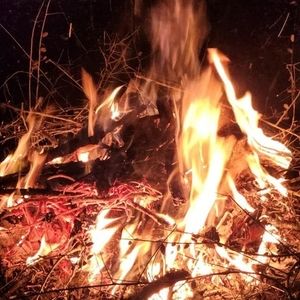 Meet your Posher, Bobby